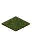 Moss Carpet