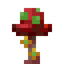 Crimson Aura Fungus