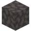 Dead Bubble Coral Block