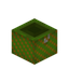 Trapped Lime Present