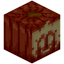 Persimmon Jack o'Lantern