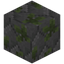 Mossy Stone Bricks Scales
