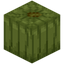 Conifer Pumpkin