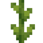 Lotus Stem