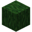 Green Enchanted Wood