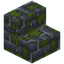 Mossy Blue Brick Stairs