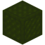 Harsh Quilted Green Wool