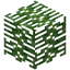 Pandanus Leaves