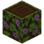 Flowering Dark Oak Log
