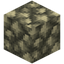 Block of Raw Platinum