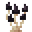 Black Shimmering Mushroom