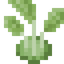 Kohlrabi
