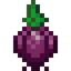 Onion