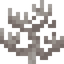 Dead Fire Coral