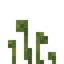 Tall Sporophyte
