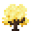 Sunny Trumpet Sapling
