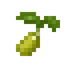 Corn Seed