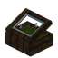 Green Canopy Display Case