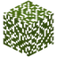 Walnut Leaves