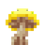 Yellow Shimmering Mushroom