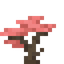 Wigglewood Sapling