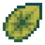 Leaf Lily Pad