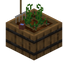 Farm