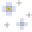 Blue Magnolia Flowers
