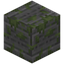 Inscribed Mossy Stone Bricks