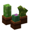 Mini Cactus Set