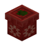 Red Present