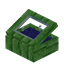 Blue Green Bioshroom Display Case