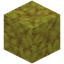 Horn Coral Block