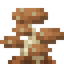 Shiitake Mushroom Colony