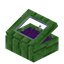 Purple Green Bioshroom Display Case