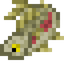 Rainbow Trout