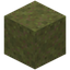 Overgrown Sand