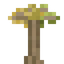Miner's Tree Sapling