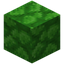 Green Bioshroom Block