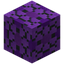 Paved Purple Glazed Terracotta