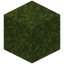 Moss Block