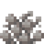 Dead Gem Coral Fan