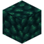 Voidflame Coal Block