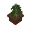 Birch Sapling Pot