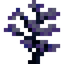 Cherrywood Sapling