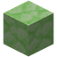 Glowing Green Bioshroom Block