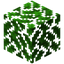 Oak Leaves