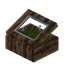 Green Fir Display Case