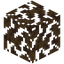 Dead Jungle Leaves