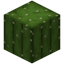 Saguaro Cactus
